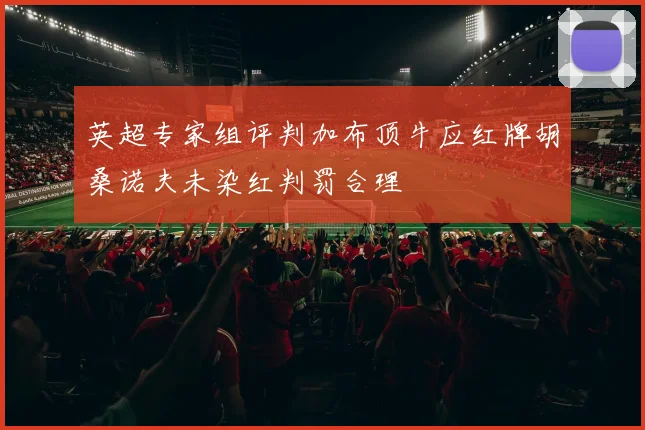 英超专家组评判加布顶牛应红牌胡桑诺夫未染红判罚合理